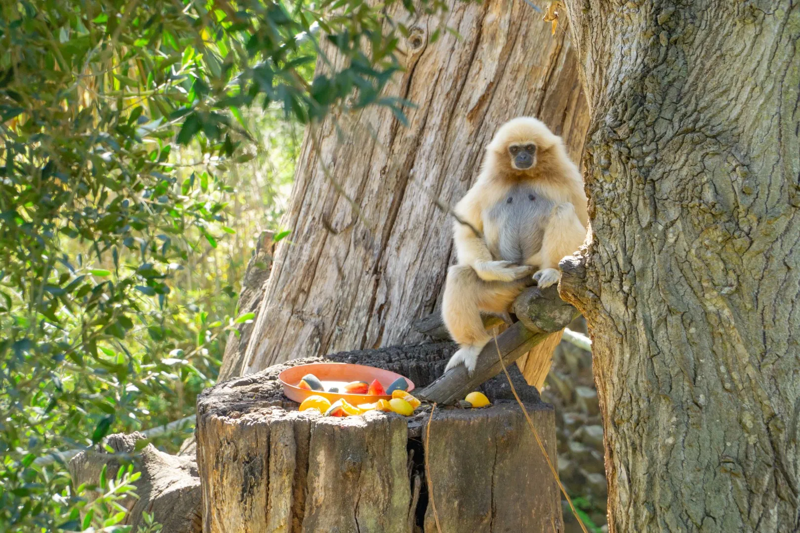 Zoo de lagos Algarve dierentuin tickets korting bezoeken tips