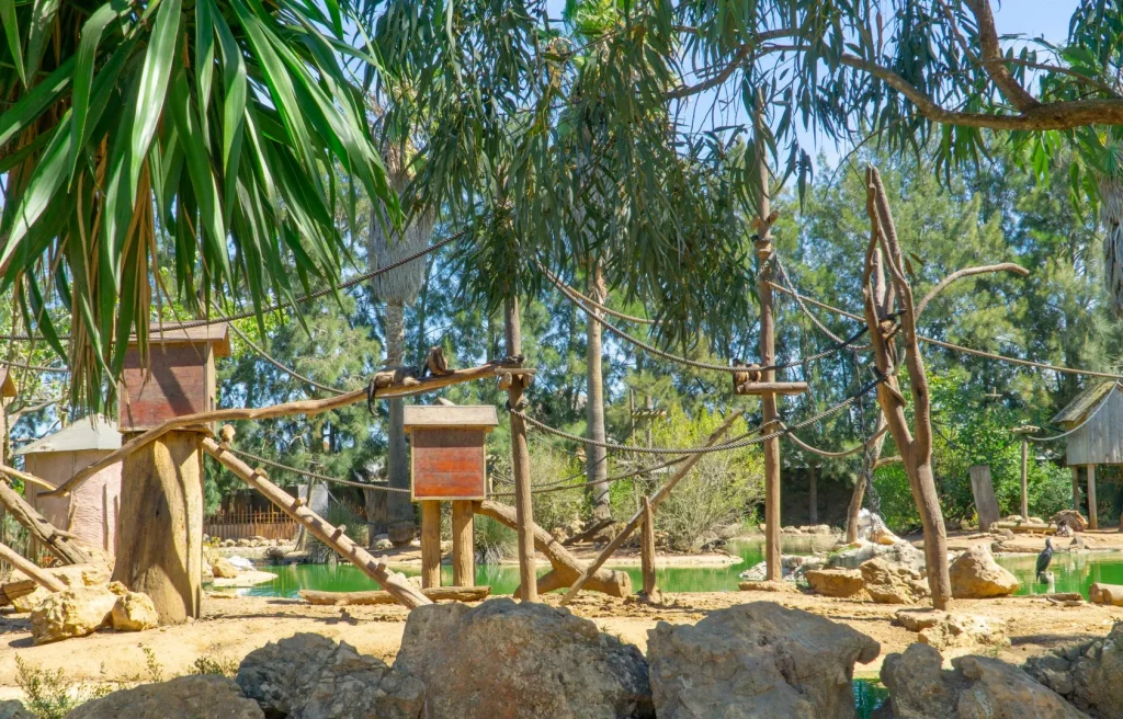 Dierentuinen Algarve - Zoo de Lagos
