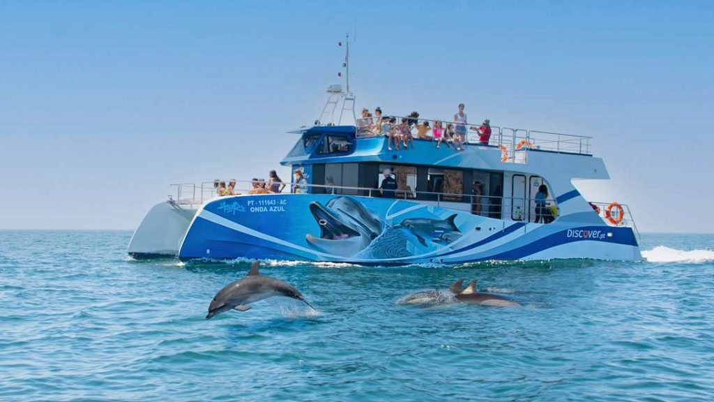 dolfijnen spotten boottocht Algarve