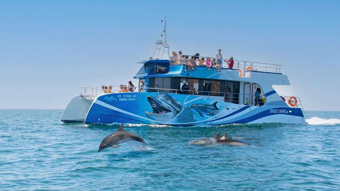 dolfijnen spotten boottocht Lagos Algarve