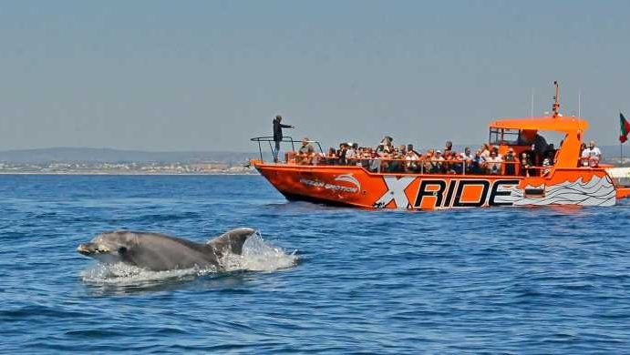 dolfijnen spotten boottocht Albufeira Algarve