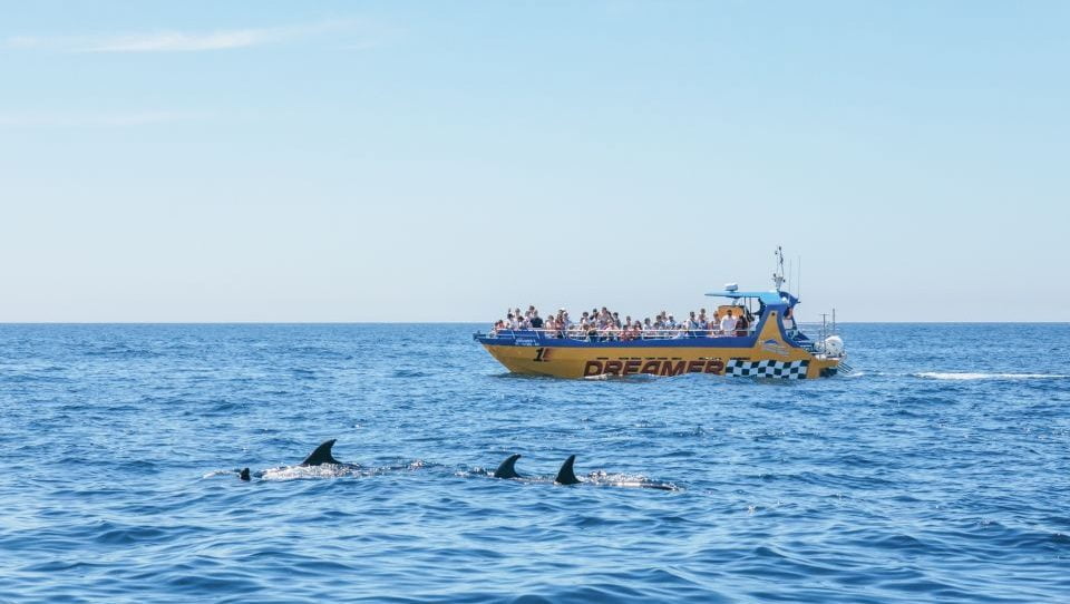 Beste boottochten Albufeira Algarve