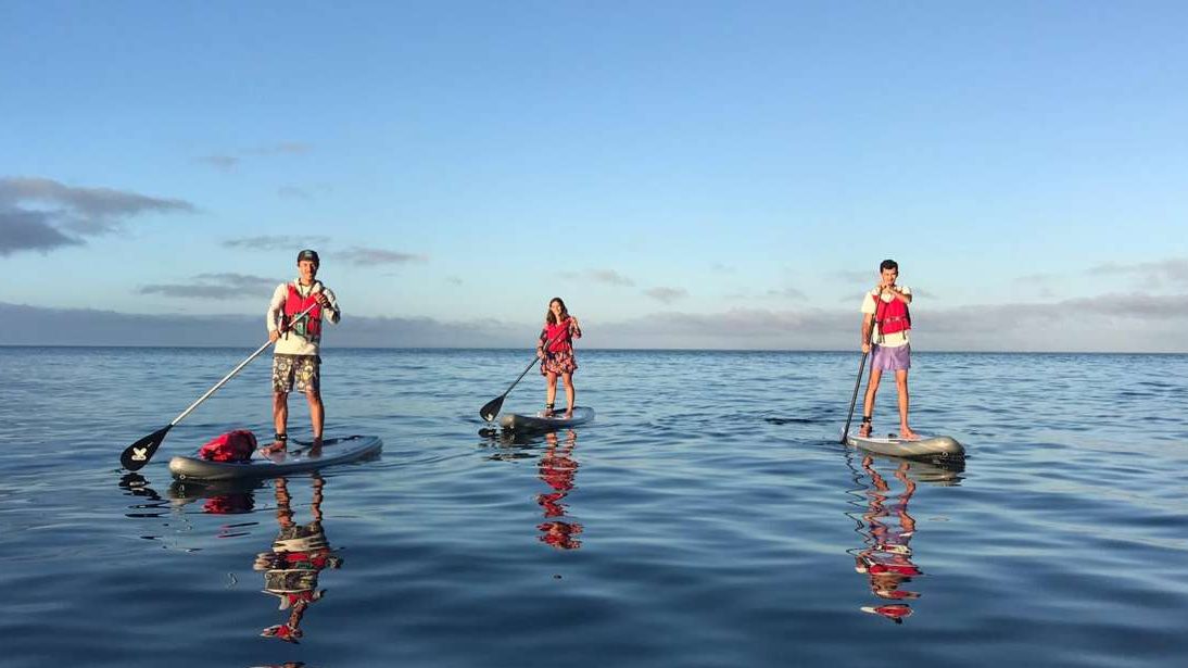 SUP - stand up paddleboard Algarve in Albufeira, Lagos, Faro, Portimão.