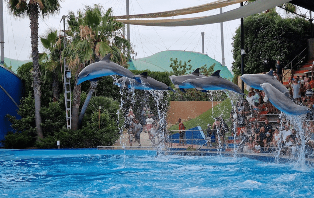 Zoomarine Algarve - Waterpark & zwemmen met dolfijnen! 2023 Informatie, tickets en tips