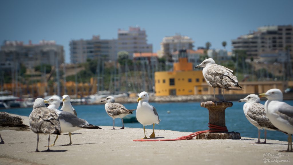 Ferragudo Algarve tips, bezienswaardigheden, reisgids. 