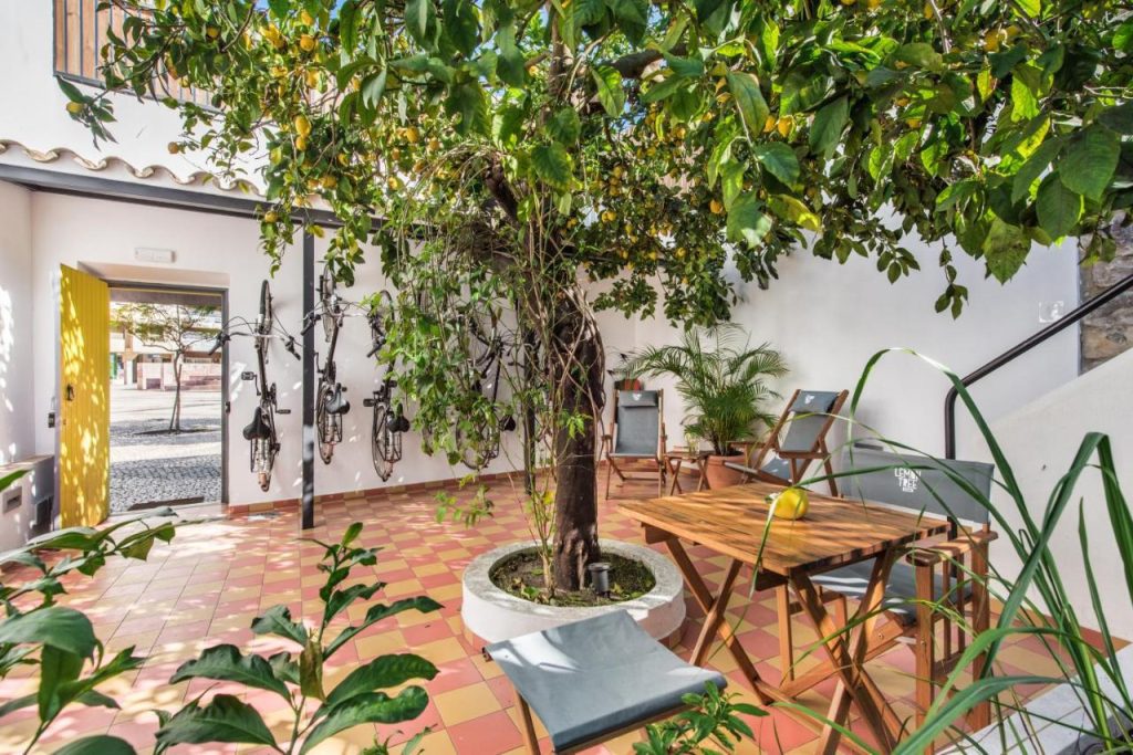 Lemon tree stay hotel tip Faro