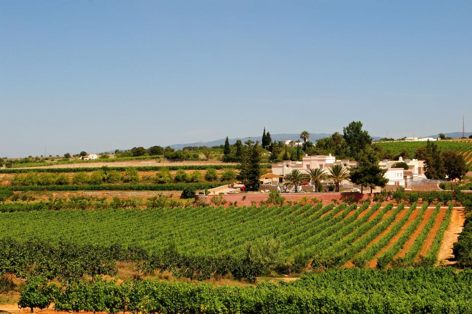  Wijnproeverij & rondleiding nabij Ferragudo