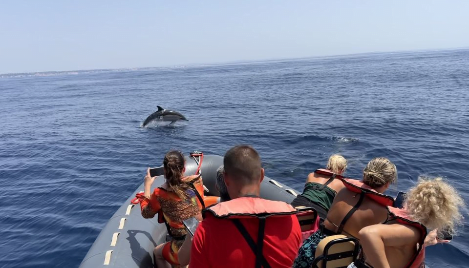 Portimão Algarve activiteiten tips: dolfijnen spotten. 