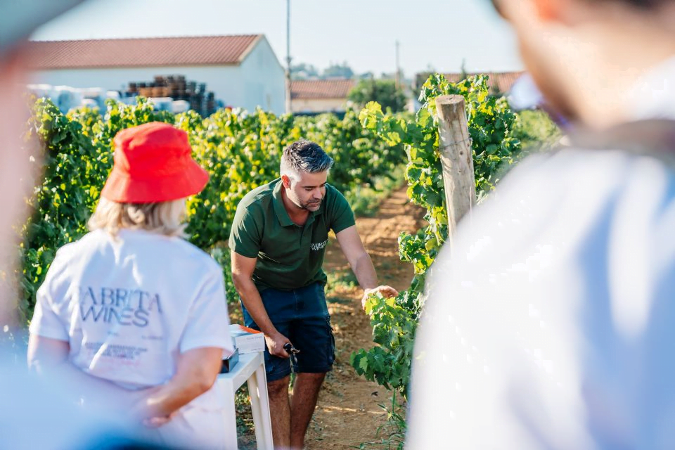 Silves Algarve tips activiteiten: wijnproeven