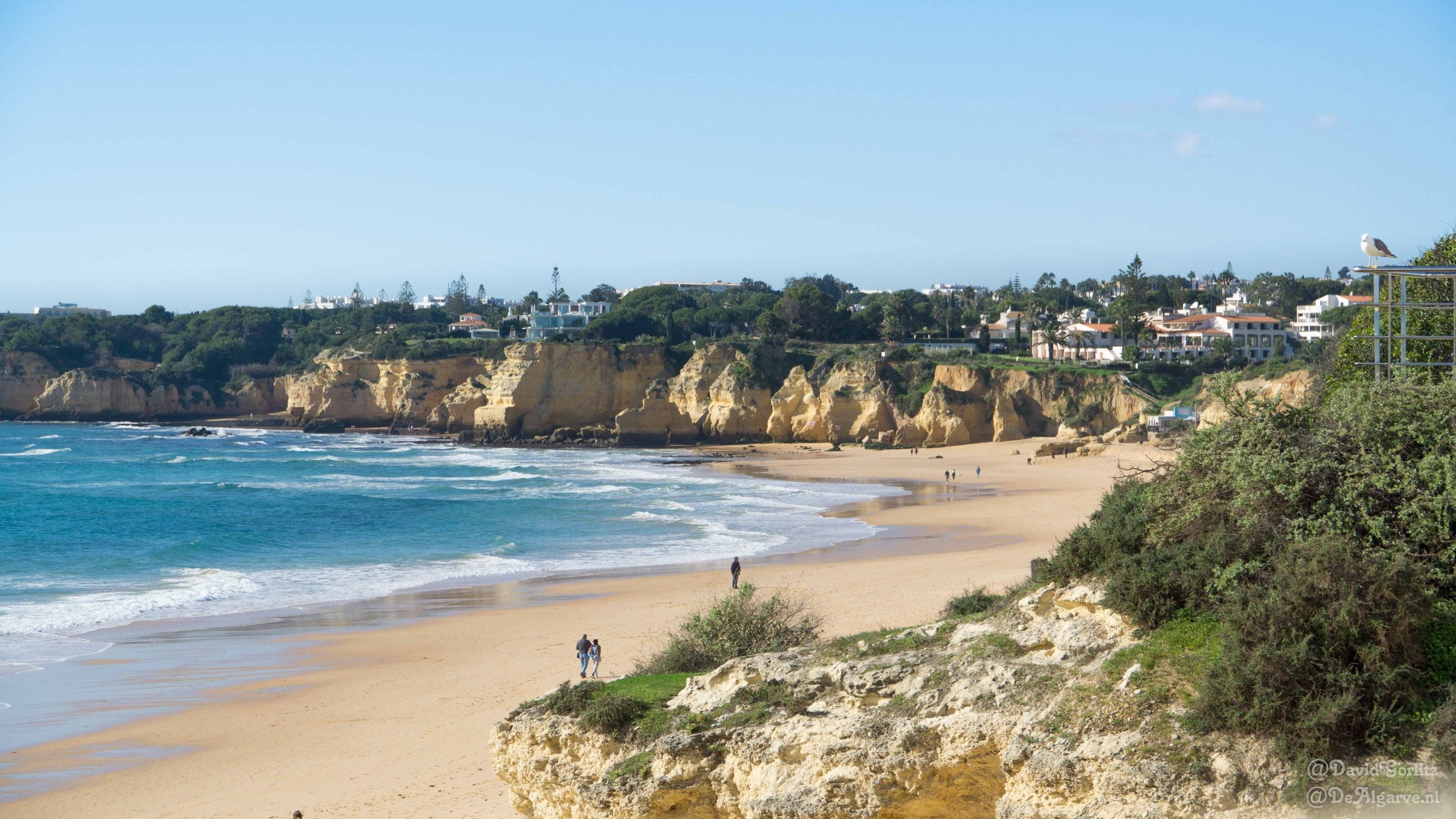 Vacatures De Algarve Specialist