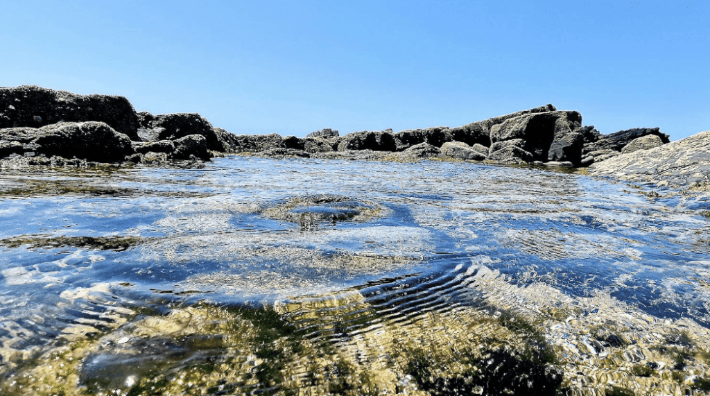 Vale da Telha Aljezur Portugal