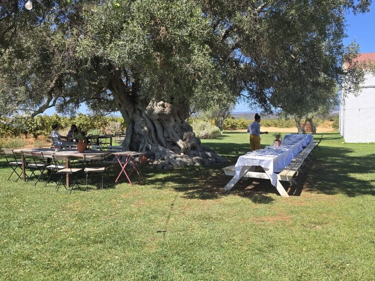 Wijnproeven en lunchen bij Morgado do Quintão in de Algarve Lagoa