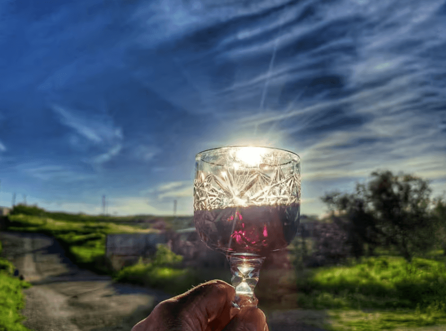 Mértola: Traditionele wijnproeverij alentejo activiteiten portugal