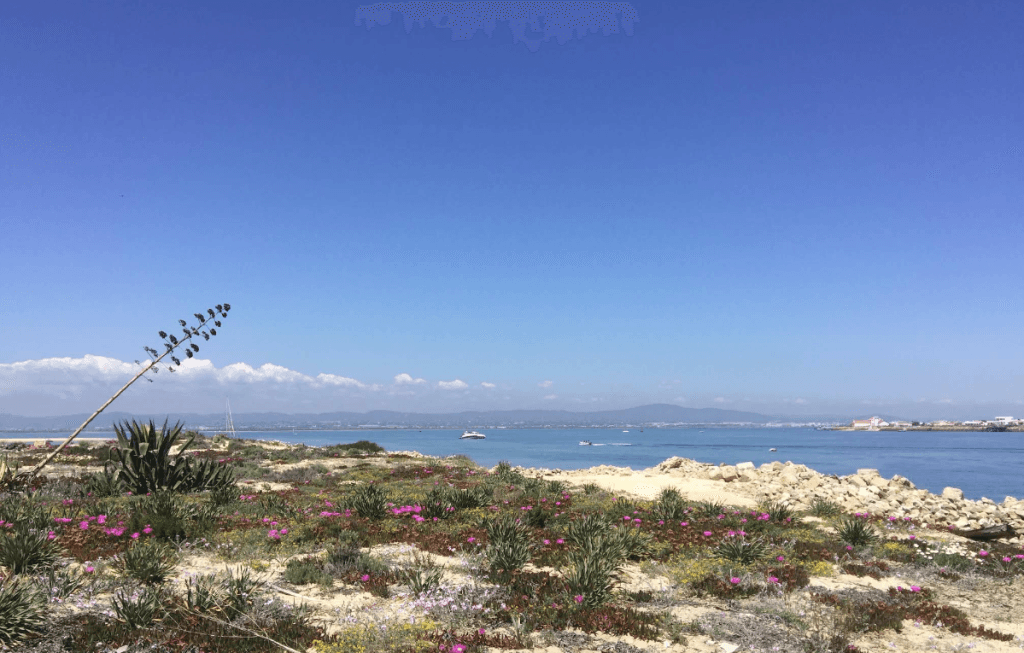 Eilandhoppen in Faro (Ilha Deserta, Ilha do Farol en Ilha da Culatra) bezienswaardigheden