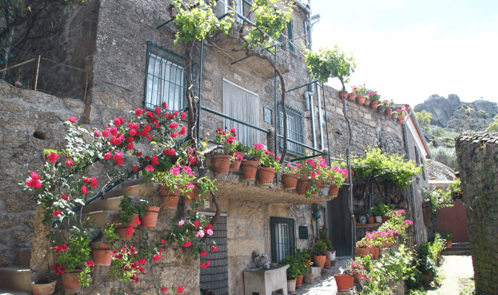 Monsanto sfeer portugal