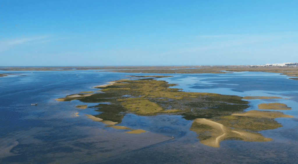 Ria Formosa: Armona en Culatra-eilanden 3-uur rondvaart