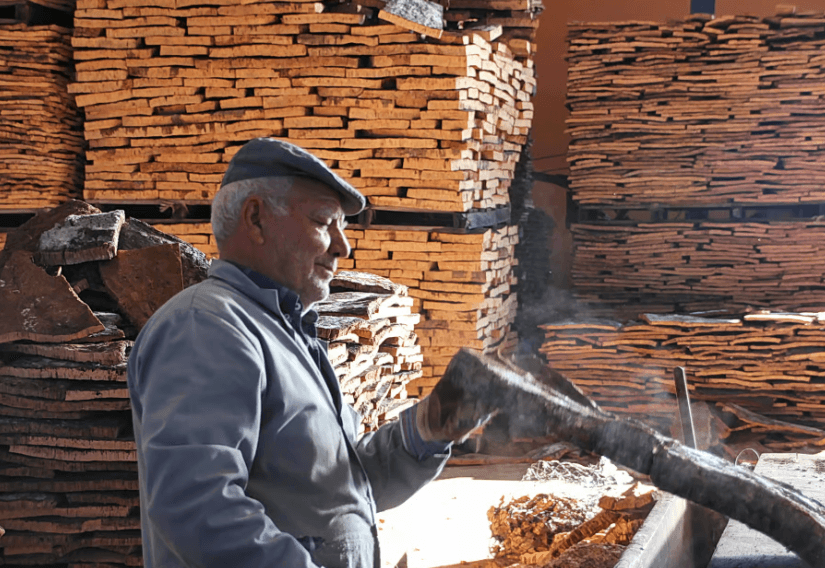 Rondleiding kurkfabriek