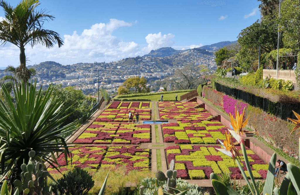 Tropische en botanische tuinen
