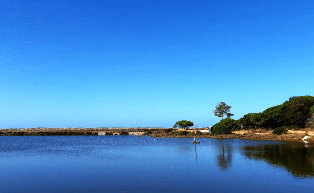 Ria Formosa