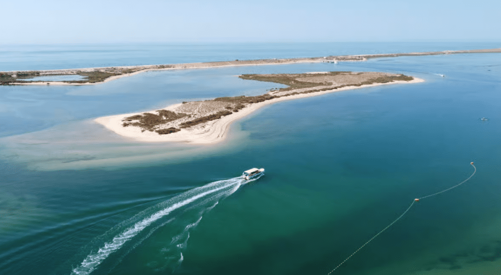 Vanuit Fuzeta: 2 uur durende boottocht in het zuidoosten van de Ria Formosa